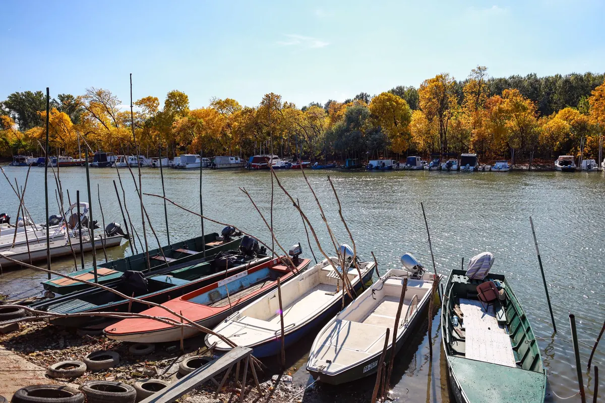 Fall Striped Bass Fishing: How Water Temperature Changes Your Approach