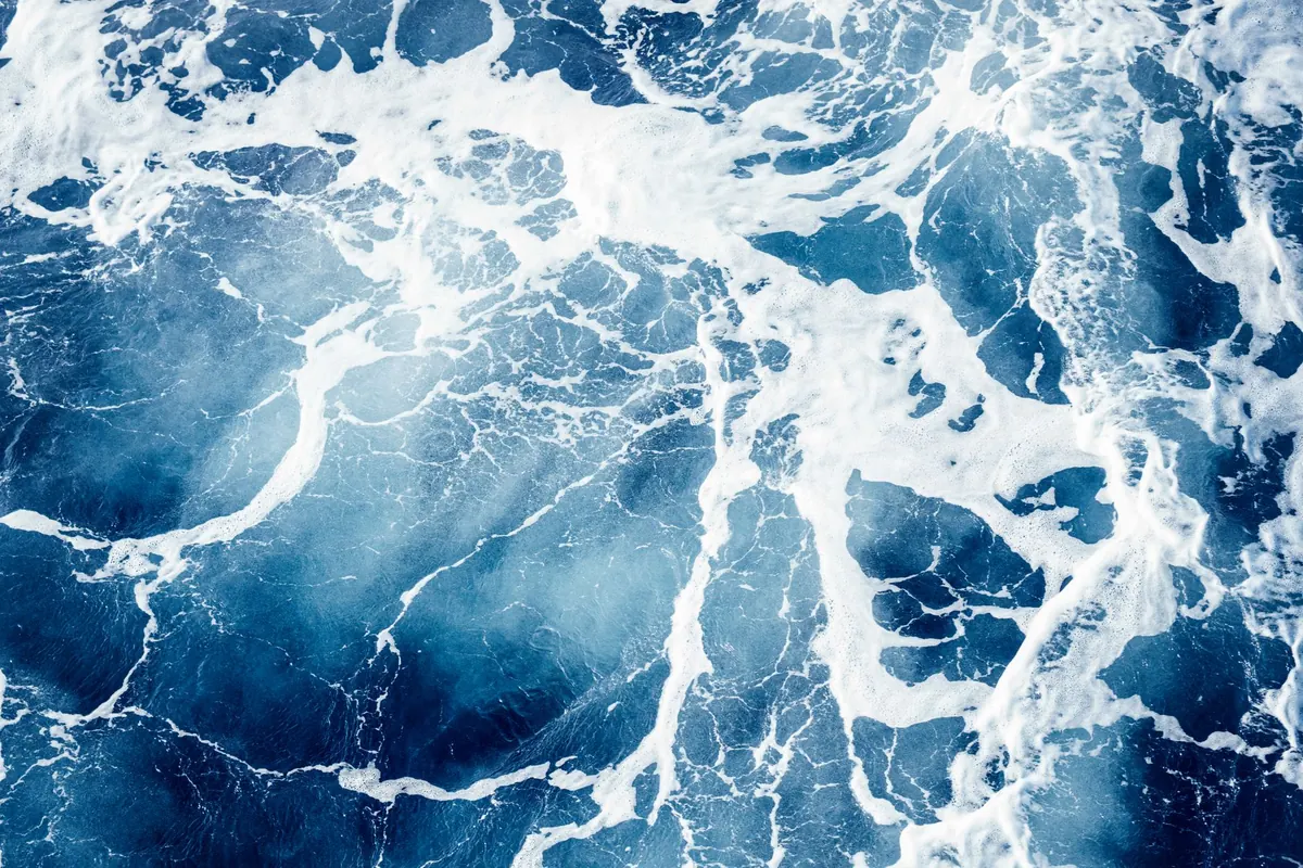 Tides Explained: How to Read a Tide Chart for Better Days on the Water